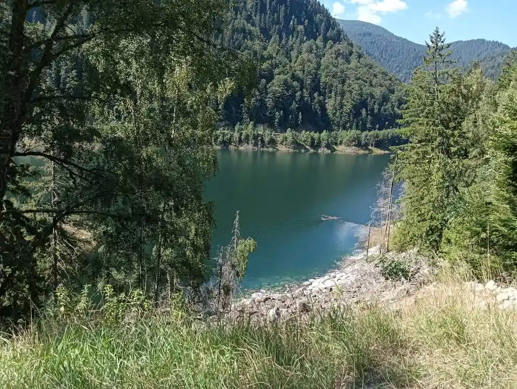 IMG20250810113126_rezultat_rezultat_rezultat IMG20250810113126_rezultat_rezultat_rezultat