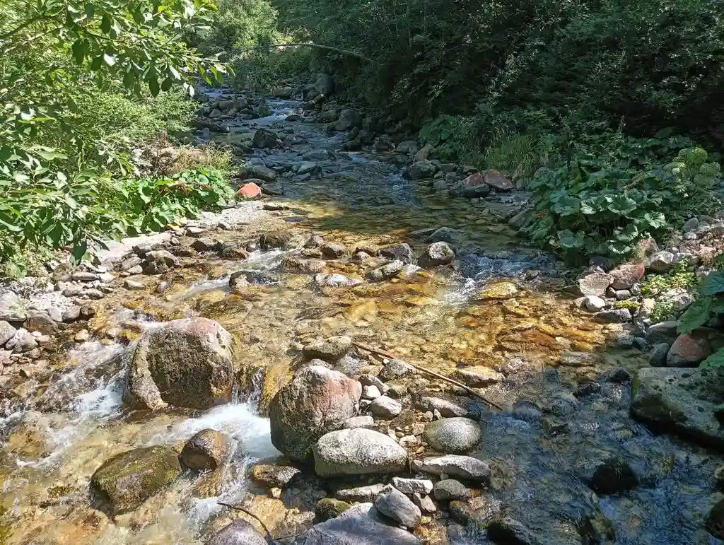IMG20250810115601_rezultat_rezultat_rezultat IMG20250810115601_rezultat_rezultat_rezultat