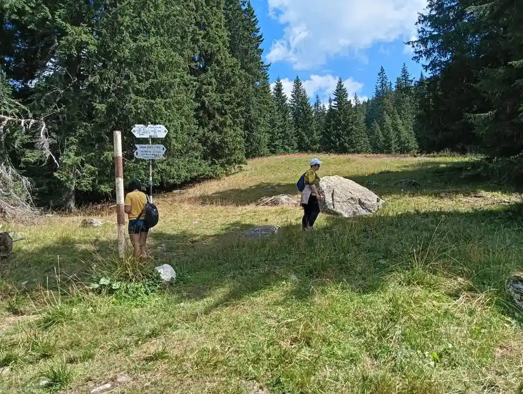 IMG20250810125053_rezultat_rezultat_rezultat IMG20250810125053_rezultat_rezultat_rezultat