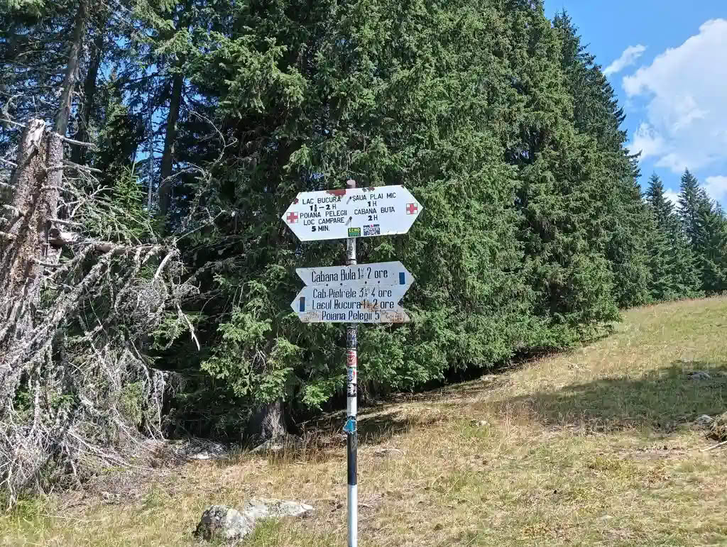 IMG20250810125107_rezultat_rezultat_rezultat IMG20250810125107_rezultat_rezultat_rezultat