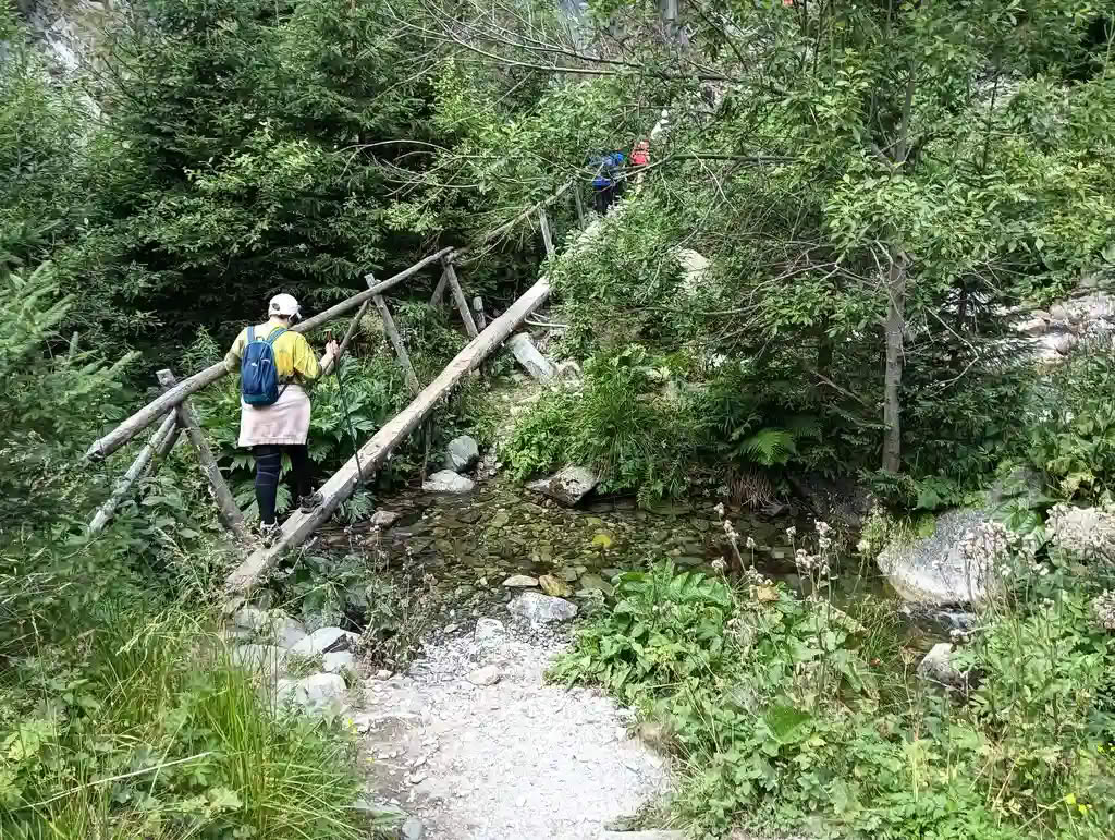 IMG20250810125702_rezultat_rezultat_rezultat IMG20250810125702_rezultat_rezultat_rezultat