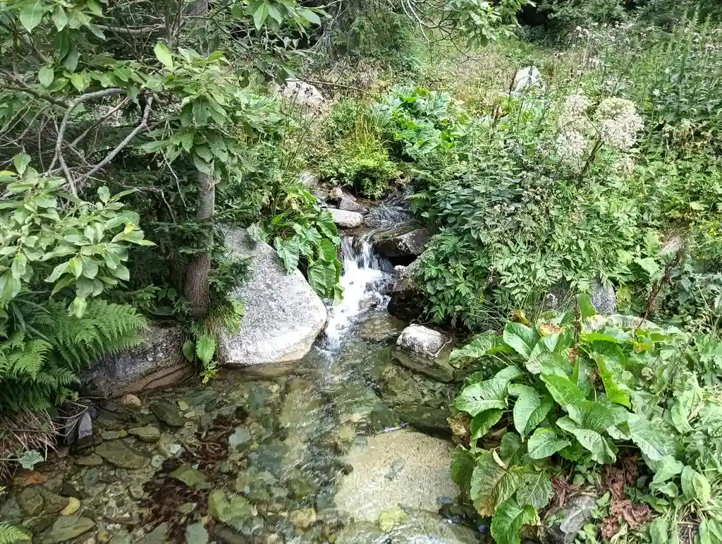 IMG20250810125725_rezultat_rezultat_rezultat IMG20250810125725_rezultat_rezultat_rezultat