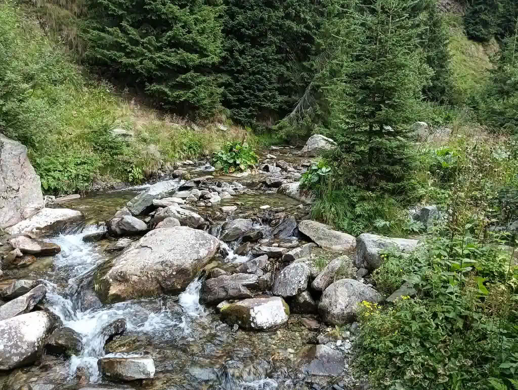 IMG20250810125746_rezultat_rezultat_rezultat IMG20250810125746_rezultat_rezultat_rezultat