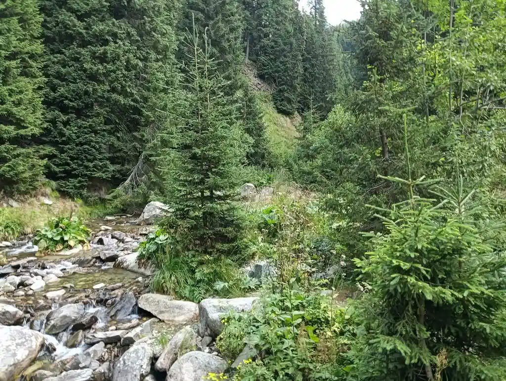 IMG20250810125749_rezultat_rezultat_rezultat IMG20250810125749_rezultat_rezultat_rezultat