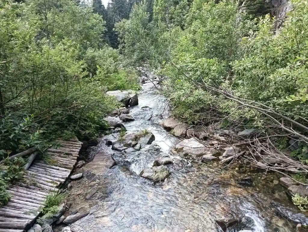 IMG20250810125753_rezultat_rezultat_rezultat IMG20250810125753_rezultat_rezultat_rezultat