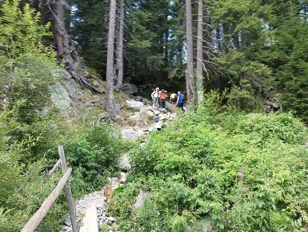 IMG20250810125756_rezultat_rezultat_rezultat IMG20250810125756_rezultat_rezultat_rezultat