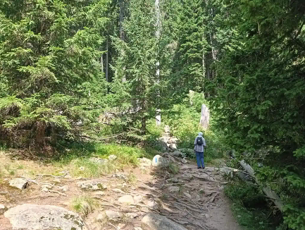 IMG20250810131115_rezultat_rezultat_rezultat IMG20250810131115_rezultat_rezultat_rezultat