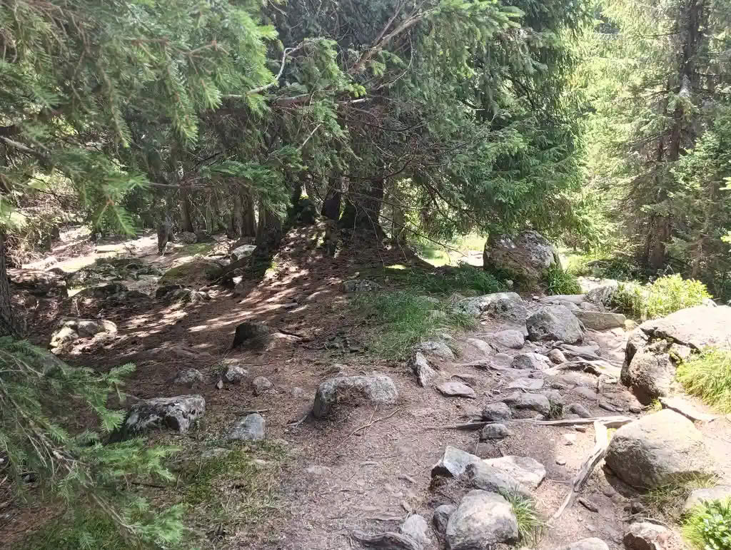 IMG20250810131127_rezultat_rezultat_rezultat IMG20250810131127_rezultat_rezultat_rezultat