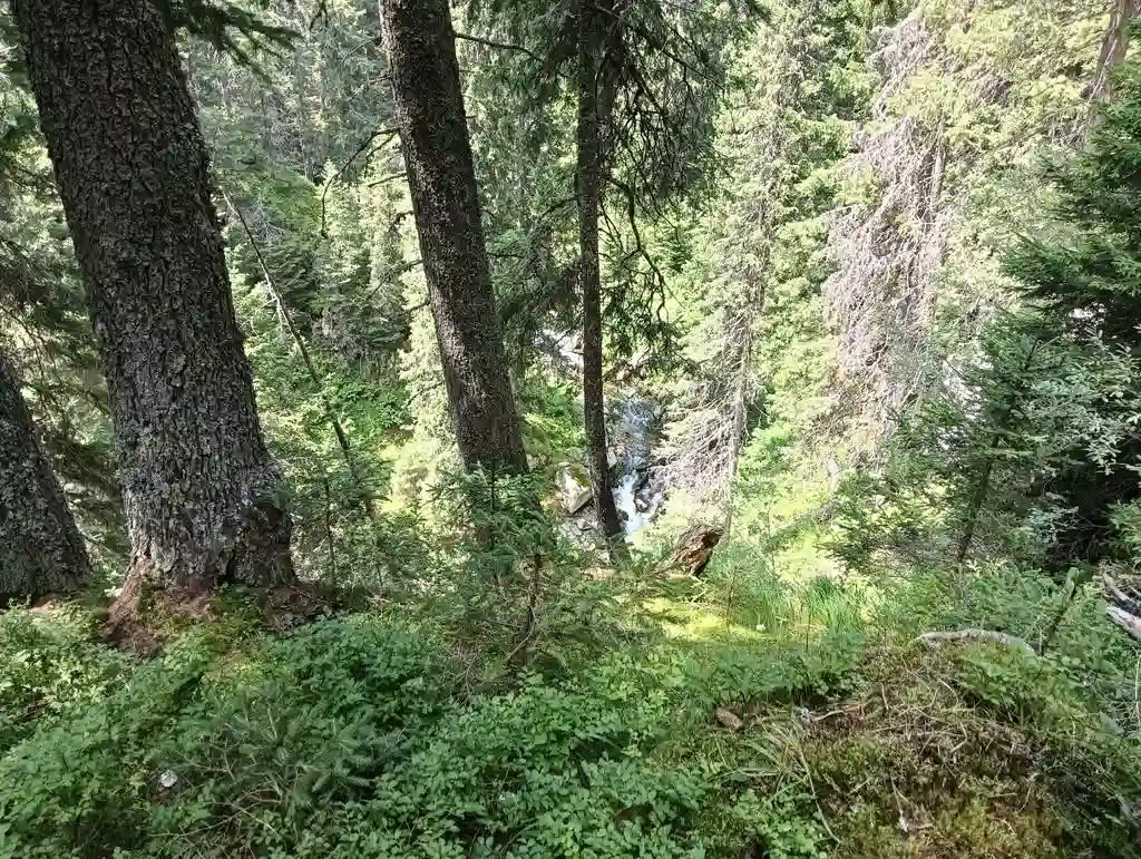 IMG20250810132230_rezultat_rezultat_rezultat IMG20250810132230_rezultat_rezultat_rezultat