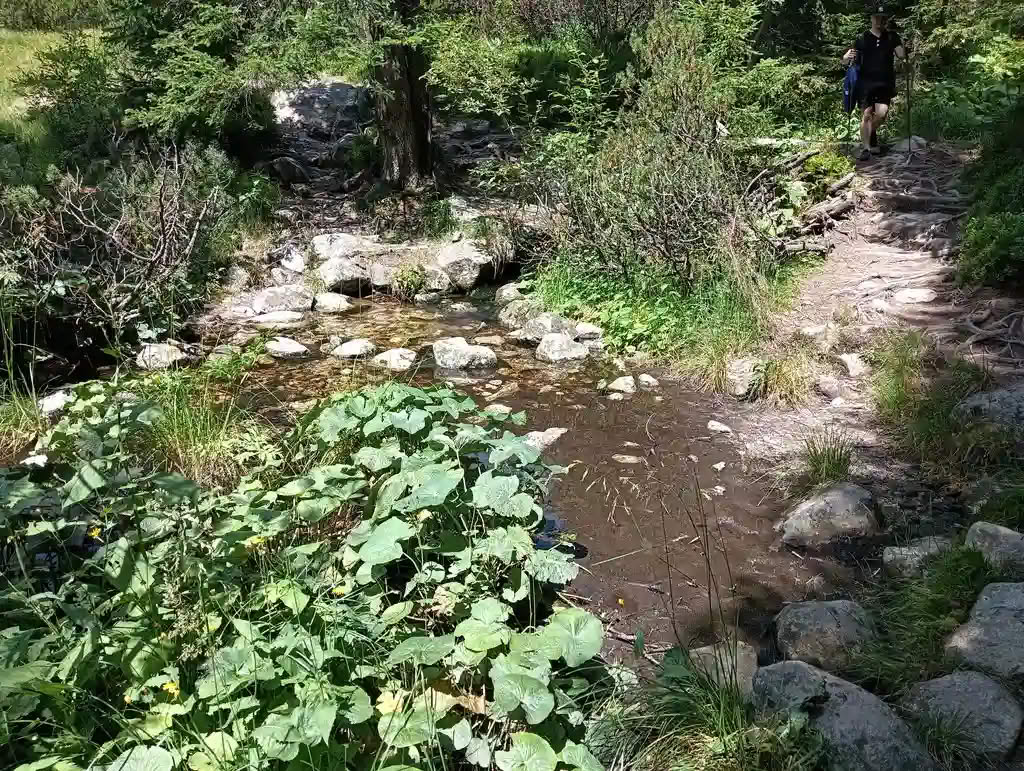 IMG20250810132928_rezultat_rezultat_rezultat IMG20250810132928_rezultat_rezultat_rezultat