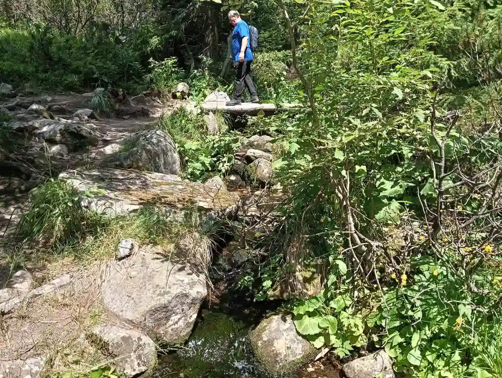IMG20250810132956_rezultat_rezultat_rezultat IMG20250810132956_rezultat_rezultat_rezultat
