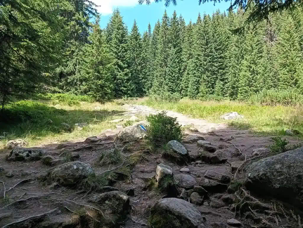 IMG20250810133948_rezultat_rezultat_rezultat IMG20250810133948_rezultat_rezultat_rezultat