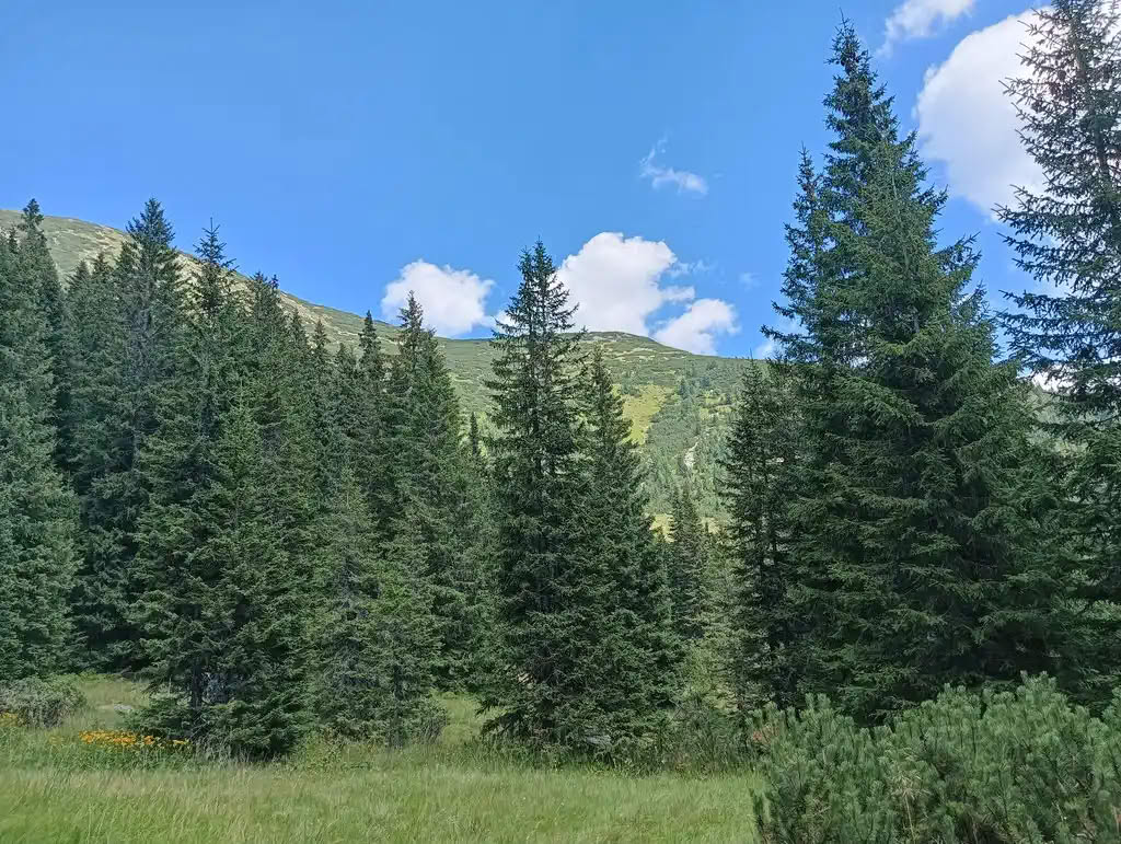 IMG20250810134045_rezultat_rezultat_rezultat IMG20250810134045_rezultat_rezultat_rezultat