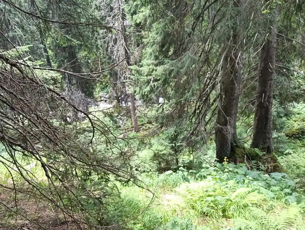 IMG20250810135103_rezultat_rezultat_rezultat IMG20250810135103_rezultat_rezultat_rezultat