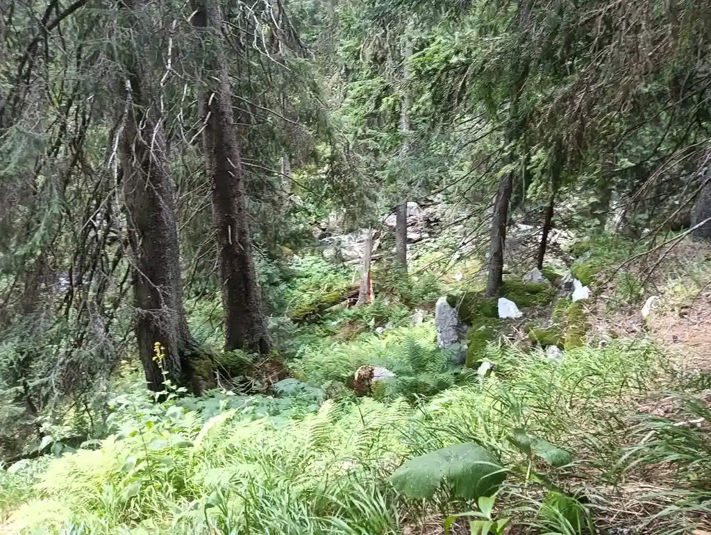IMG20250810135108_rezultat_rezultat_rezultat IMG20250810135108_rezultat_rezultat_rezultat