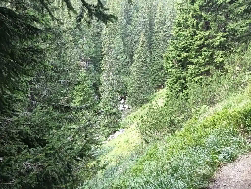 IMG20250810140353_rezultat_rezultat_rezultat IMG20250810140353_rezultat_rezultat_rezultat