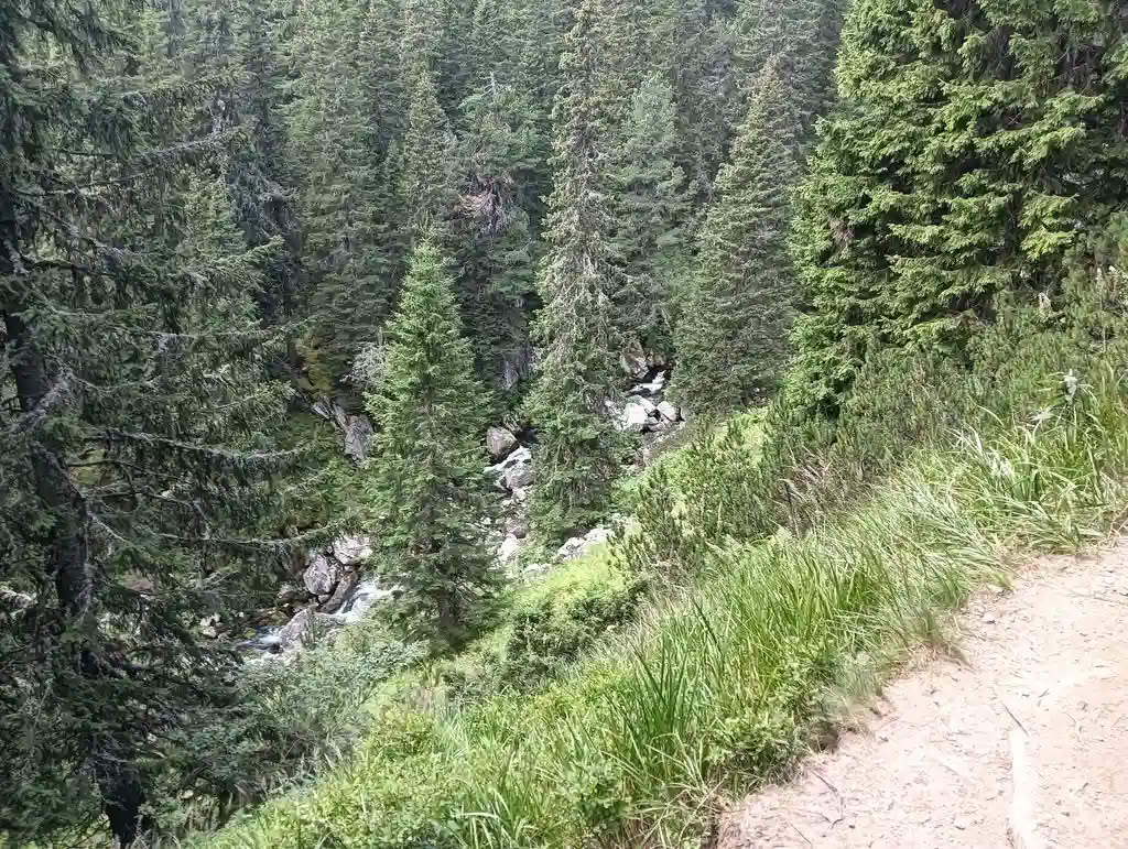 IMG20250810140434_rezultat_rezultat_rezultat IMG20250810140434_rezultat_rezultat_rezultat