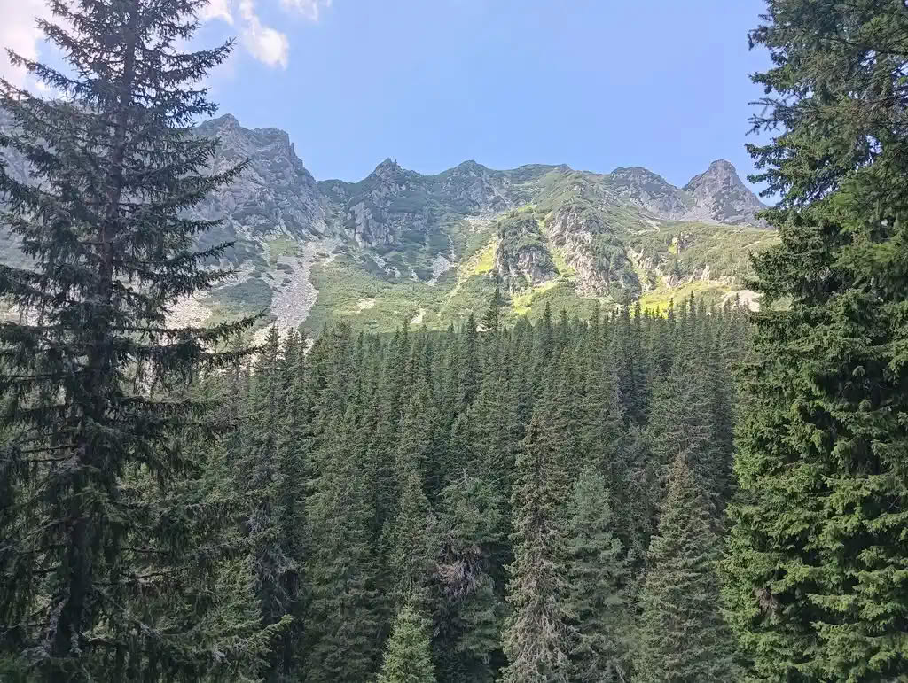 IMG20250810140436_rezultat_rezultat_rezultat IMG20250810140436_rezultat_rezultat_rezultat