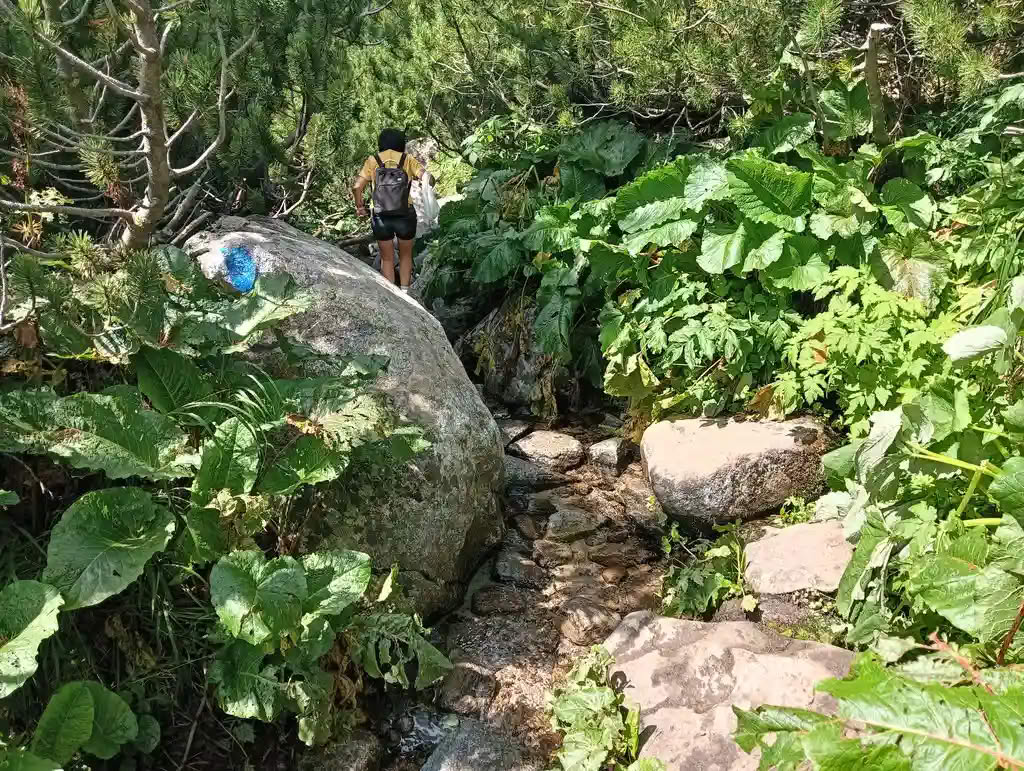 IMG20250810142200_rezultat_rezultat_rezultat IMG20250810142200_rezultat_rezultat_rezultat