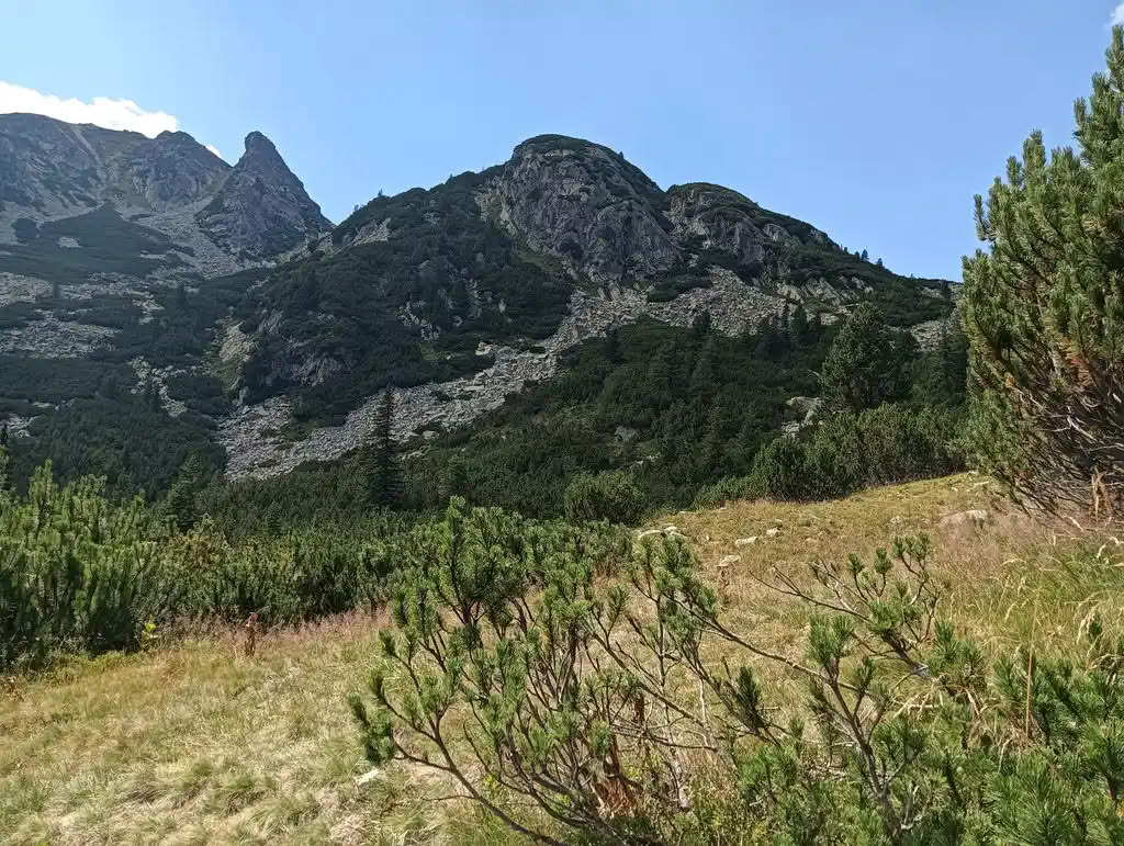 IMG20250810143155_rezultat_rezultat_rezultat IMG20250810143155_rezultat_rezultat_rezultat