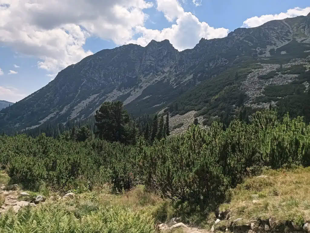 IMG20250810143157_rezultat_rezultat_rezultat IMG20250810143157_rezultat_rezultat_rezultat