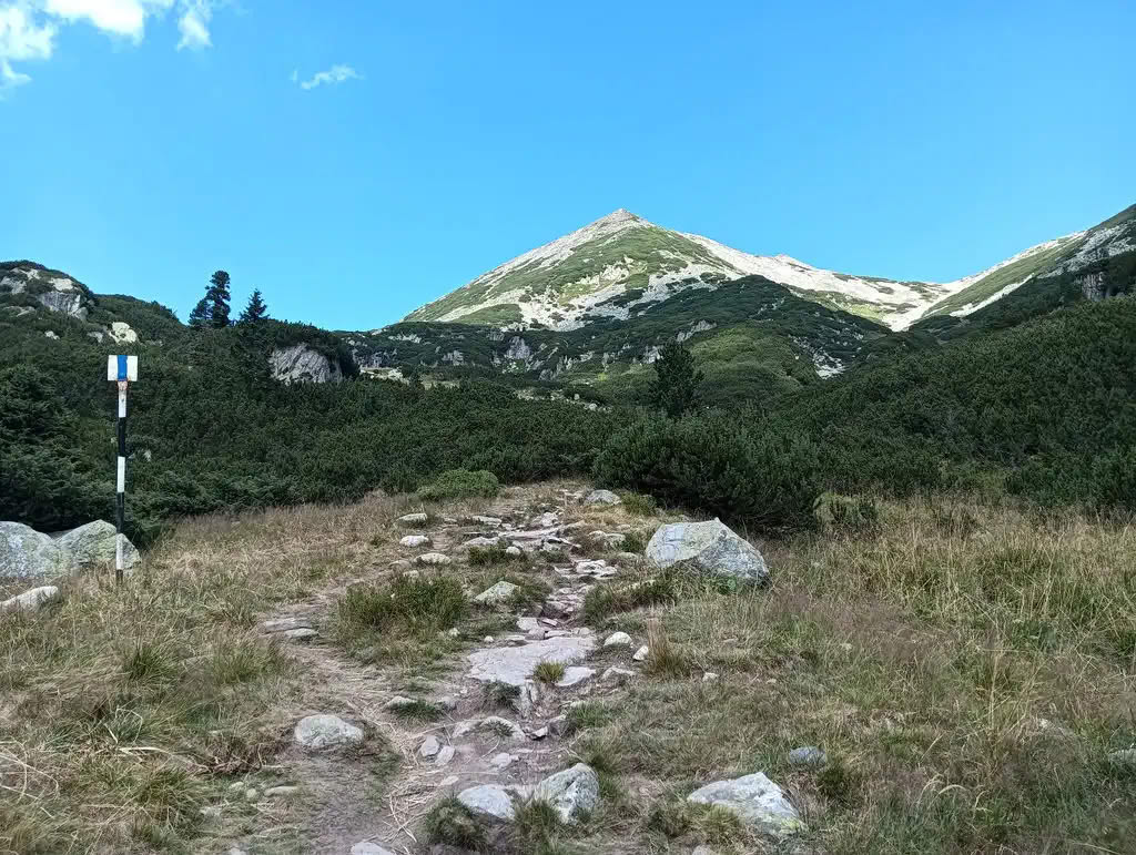 IMG20250810143301_rezultat_rezultat_rezultat IMG20250810143301_rezultat_rezultat_rezultat
