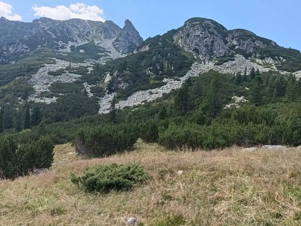 IMG20250810143316_rezultat_rezultat_rezultat IMG20250810143316_rezultat_rezultat_rezultat