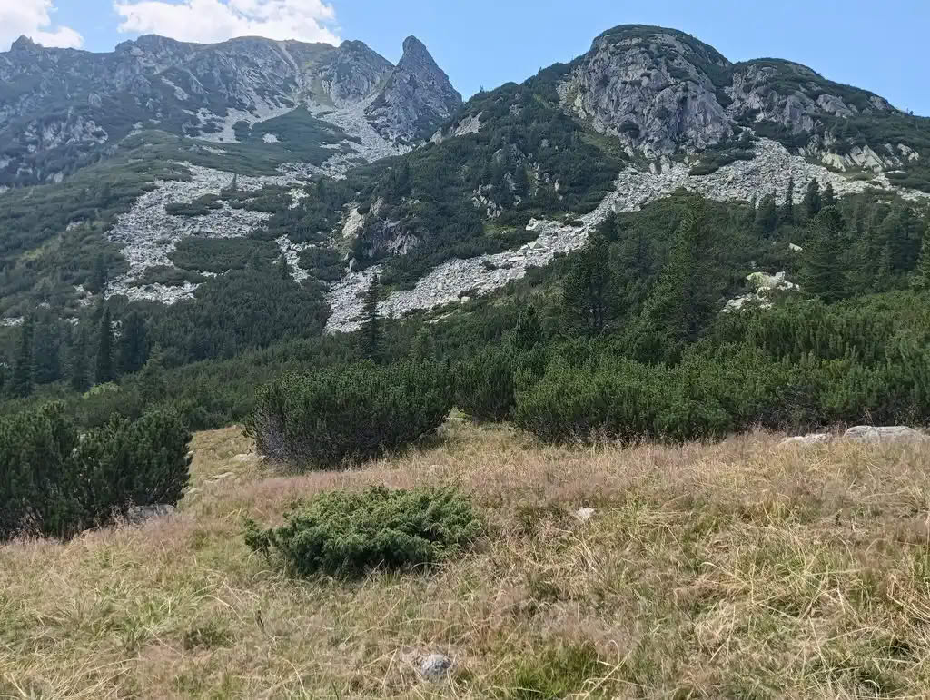 IMG20250810143317_rezultat_rezultat_rezultat IMG20250810143317_rezultat_rezultat_rezultat