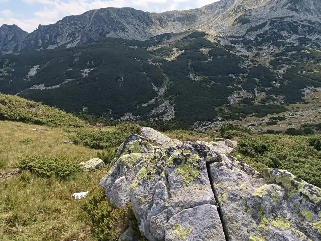 IMG20250810153335_rezultat_rezultat_rezultat IMG20250810153335_rezultat_rezultat_rezultat