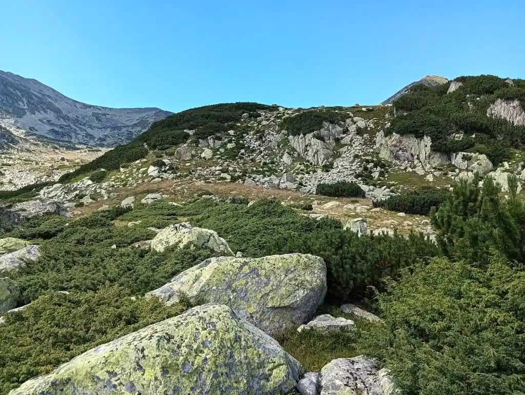 IMG20250810153347_rezultat_rezultat_rezultat IMG20250810153347_rezultat_rezultat_rezultat