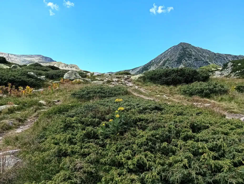 IMG20250810155110_rezultat_rezultat_rezultat IMG20250810155110_rezultat_rezultat_rezultat