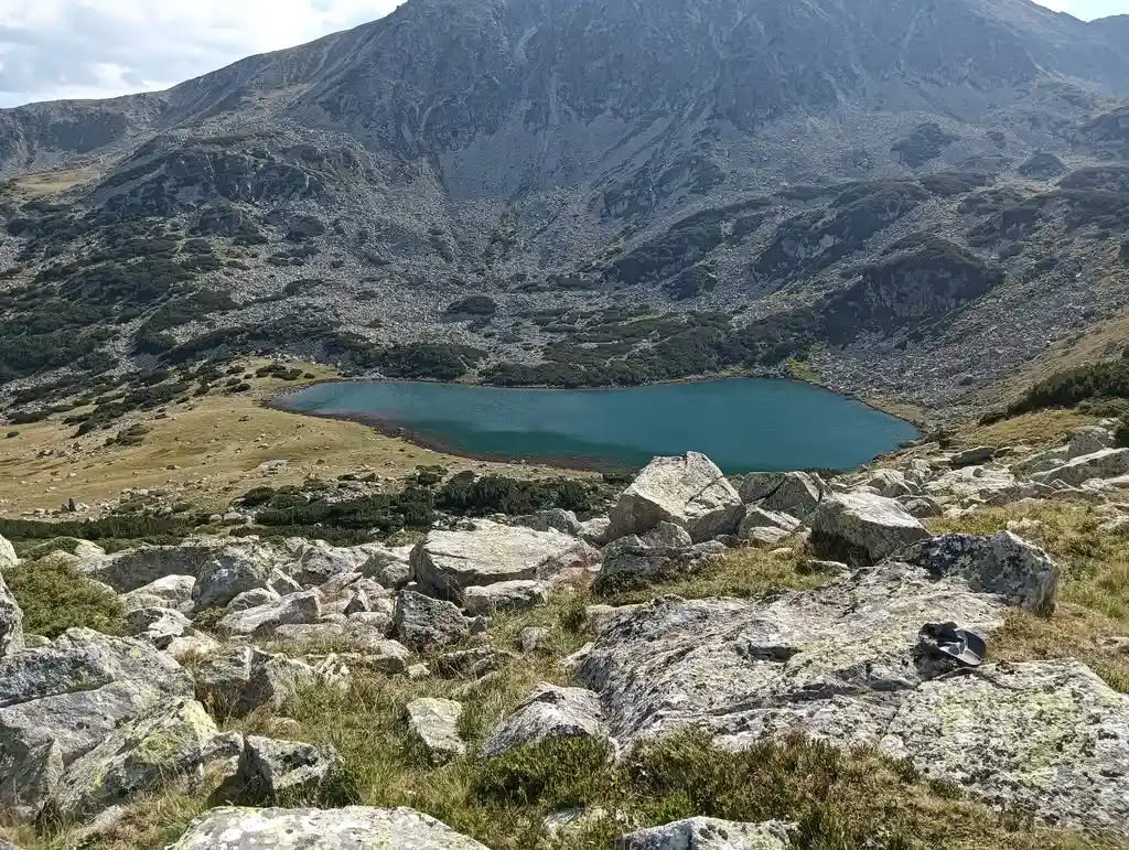 IMG20250810170242_rezultat_rezultat_rezultat IMG20250810170242_rezultat_rezultat_rezultat