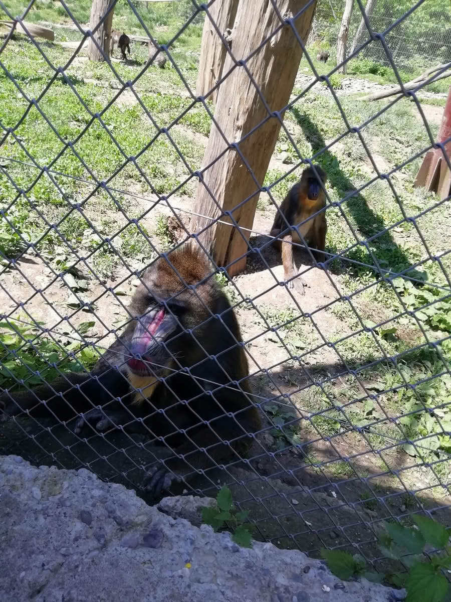 IMG-20190519-WA0060 IMG-20190519-WA0060