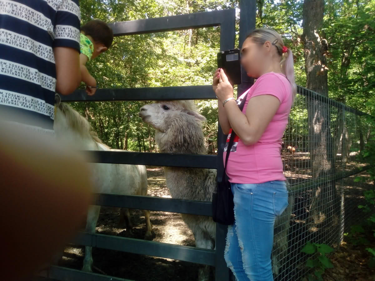 IMG_20190519_130139 IMG_20190519_130139
