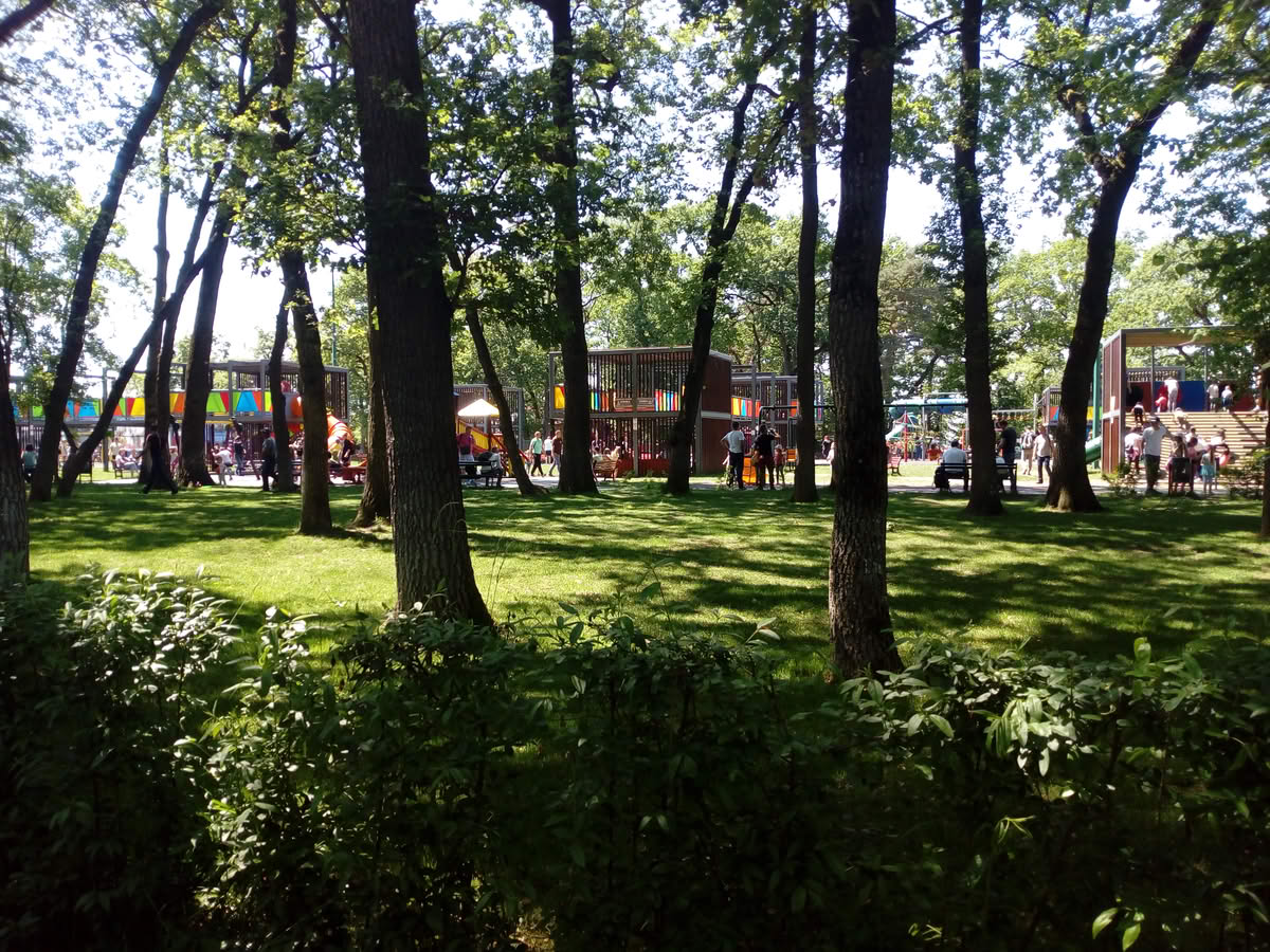 IMG_20190519_140739 IMG_20190519_140739