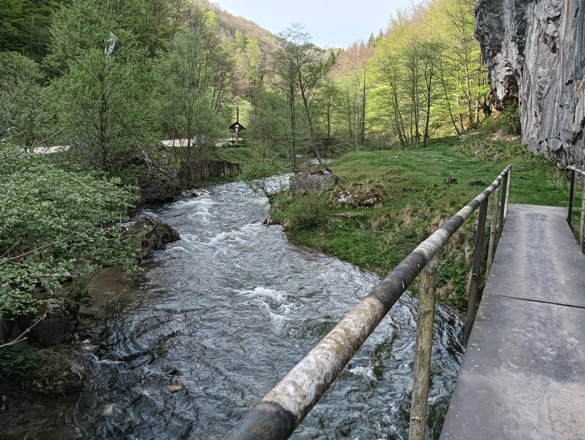 IMG20240414161920 Cheile Tăii