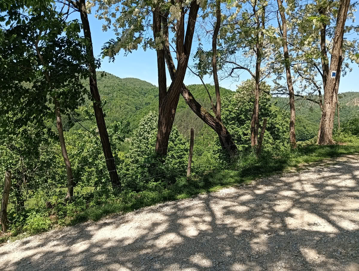 IMG20240506122327 Costești – Cetățuie