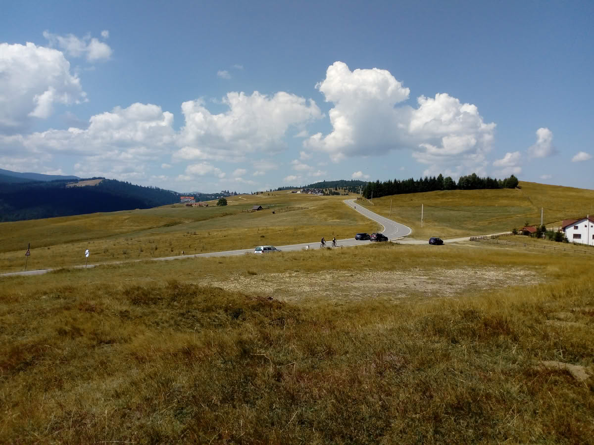 IMG_20210815_124044 Păltiniș vara