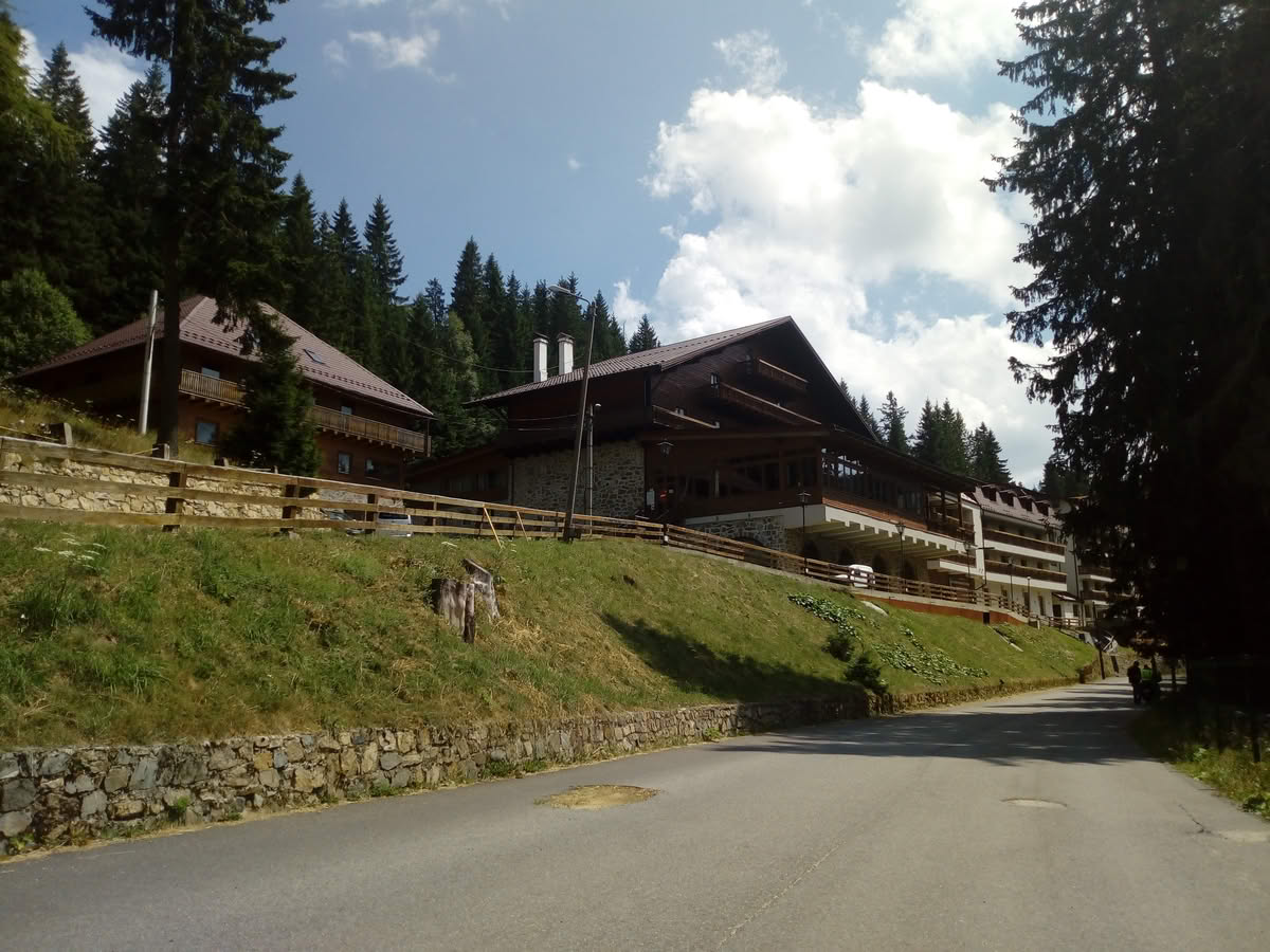 IMG_20210815_132939 Păltiniș vara