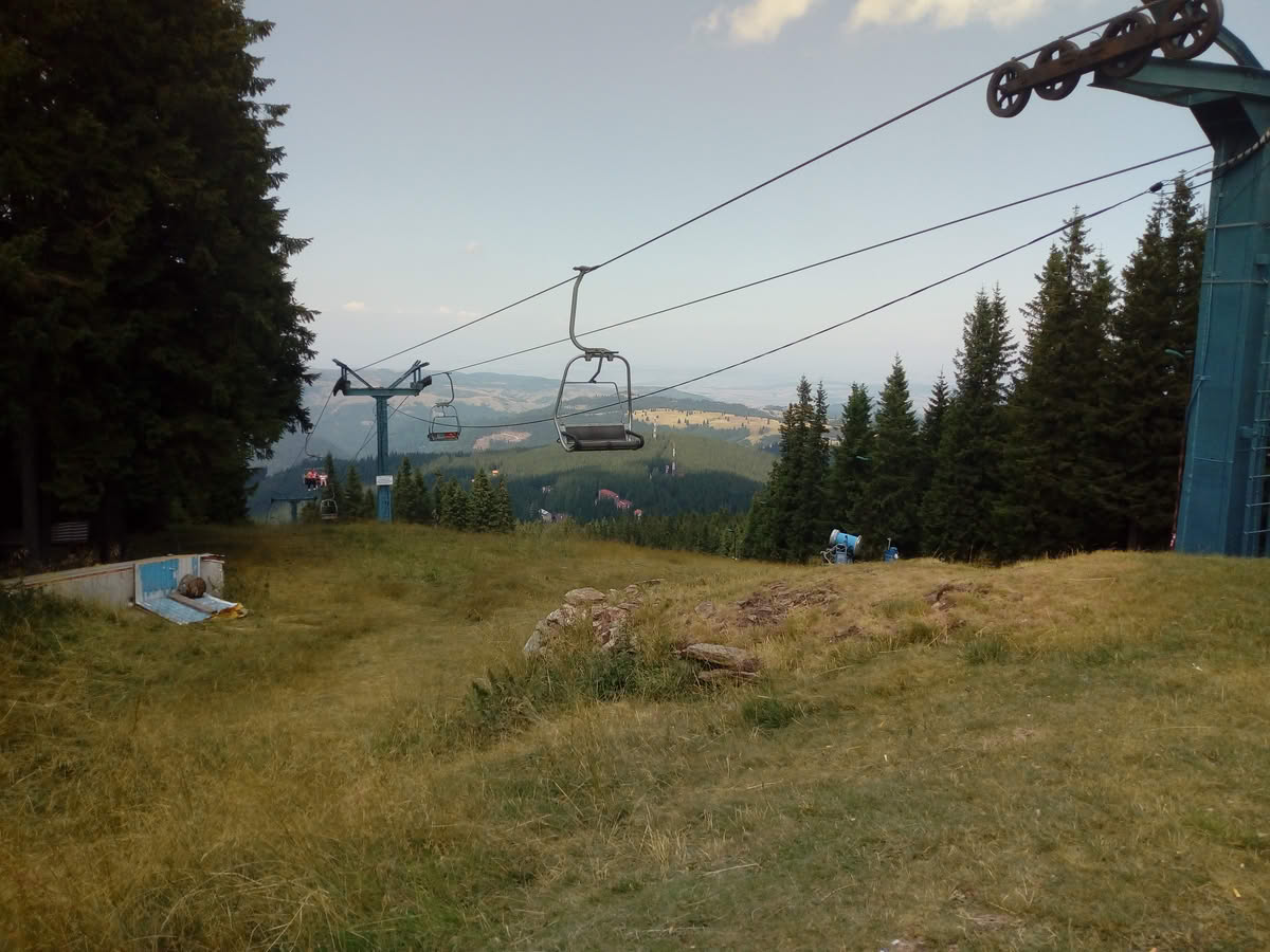 IMG_20210815_134903 Păltiniș vara
