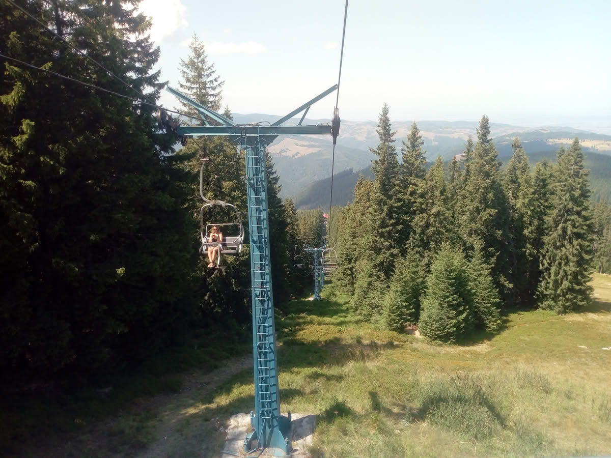 IMG_20210815_141141 Păltiniș vara