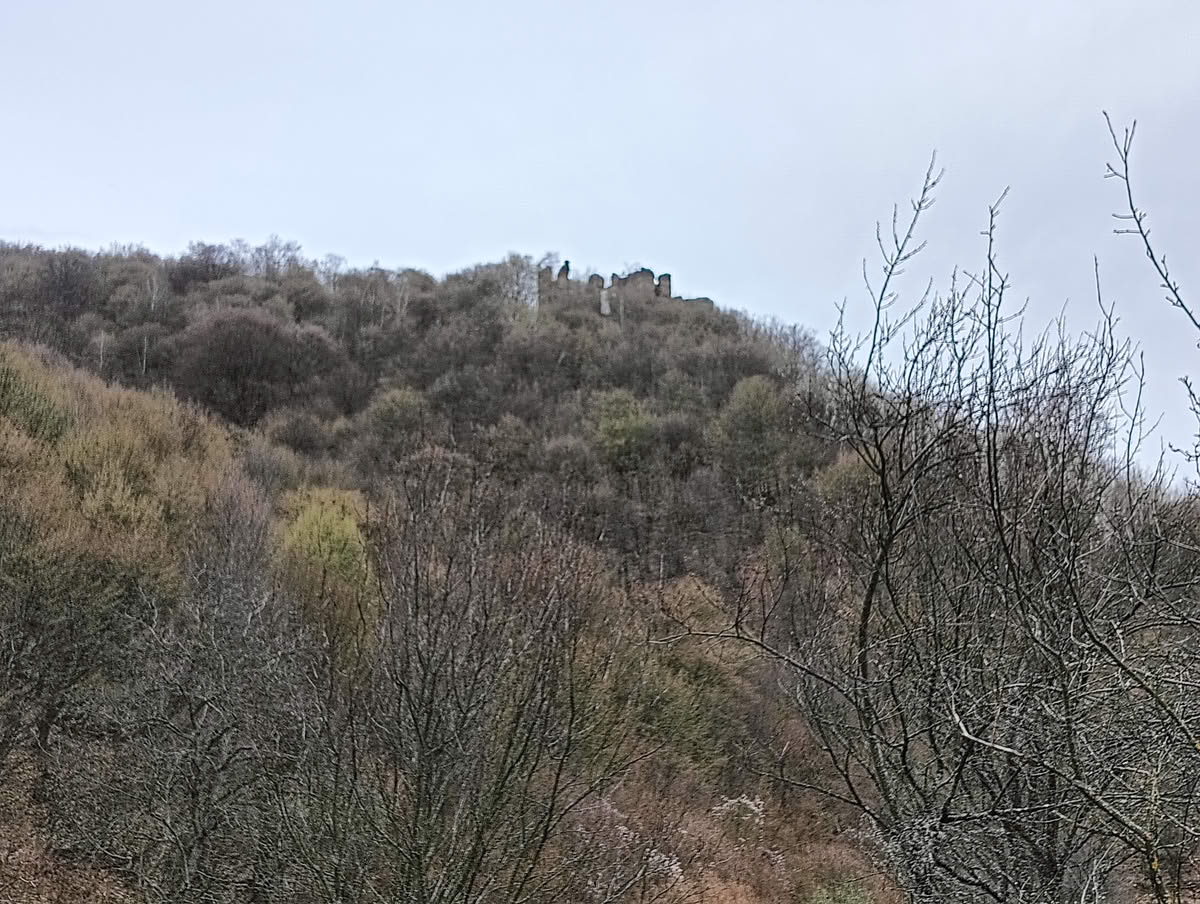 IMG20250323125416 Cetatea Colț