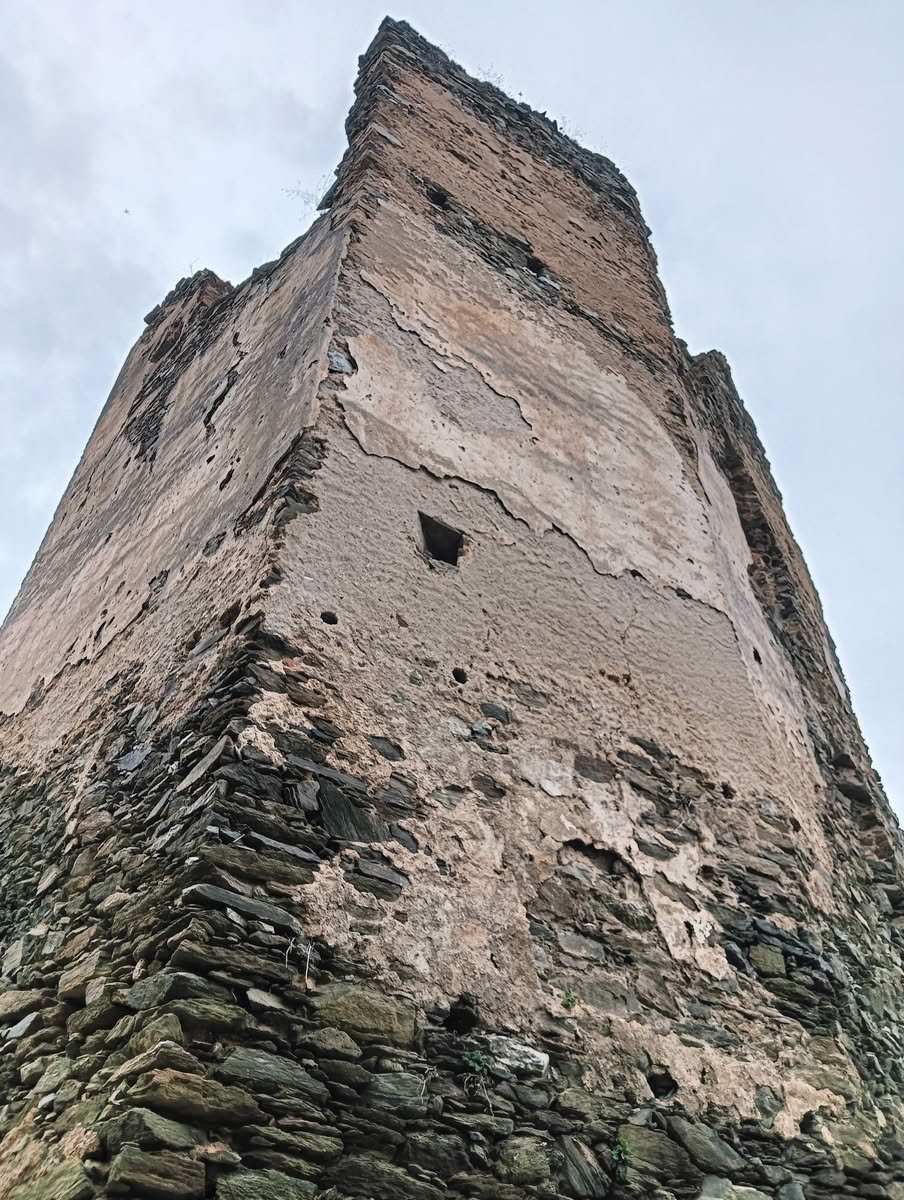 IMG20250323132849 Cetatea Colț