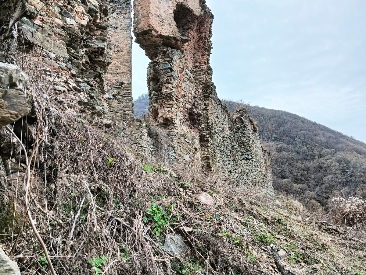 IMG20250323132923 Cetatea Colț