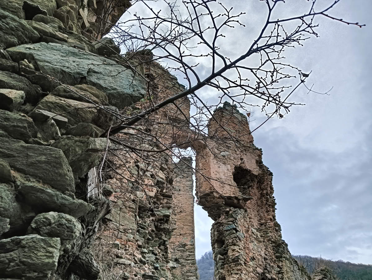 IMG20250323132926 Cetatea Colț