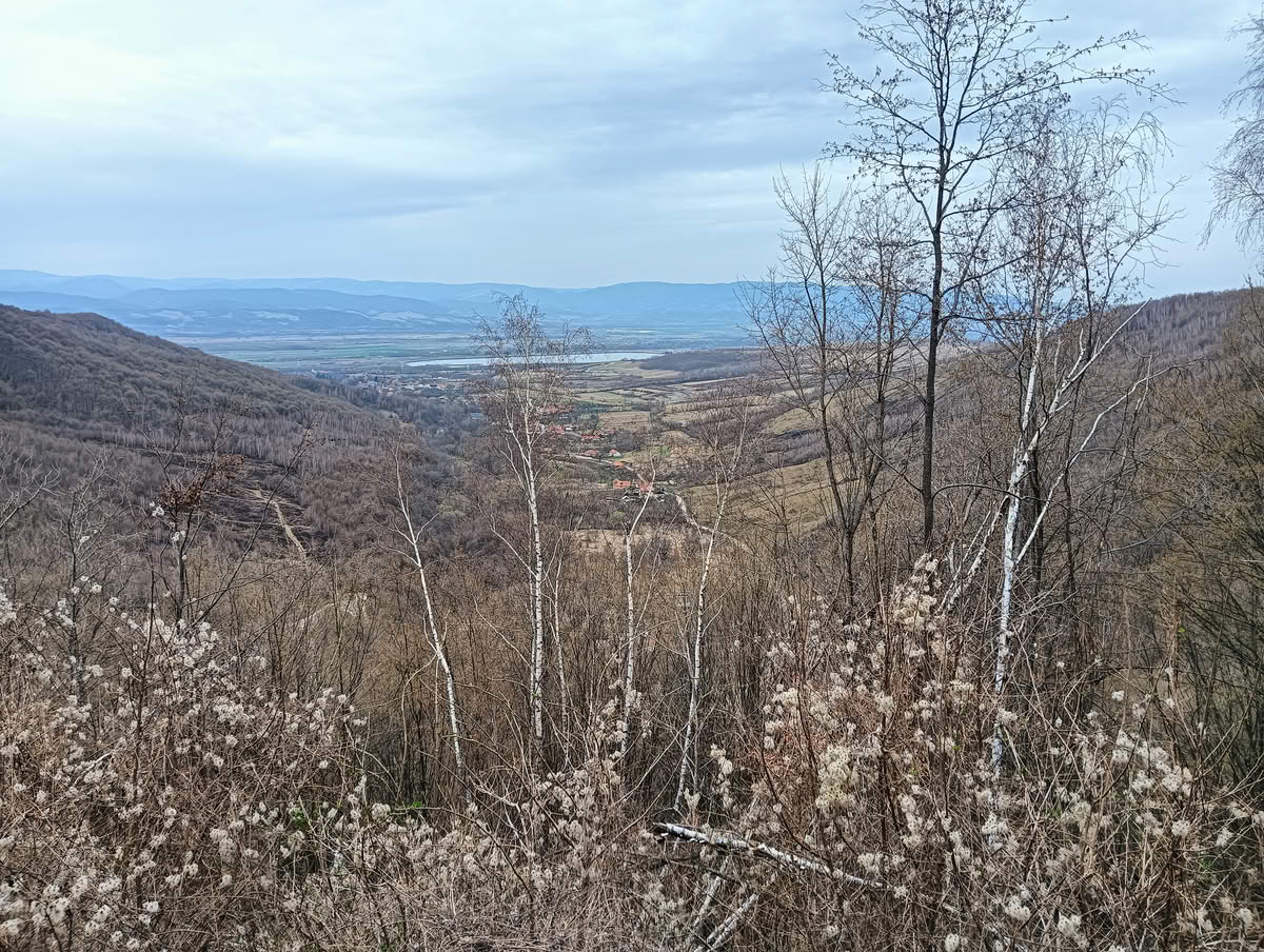 IMG20250323132946 Cetatea Colț