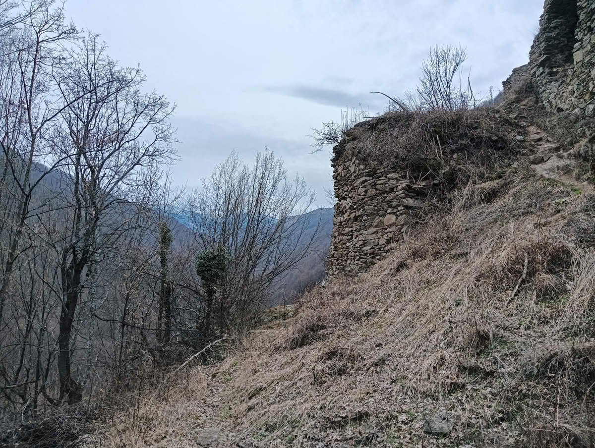 IMG20250323133259 Cetatea Colț