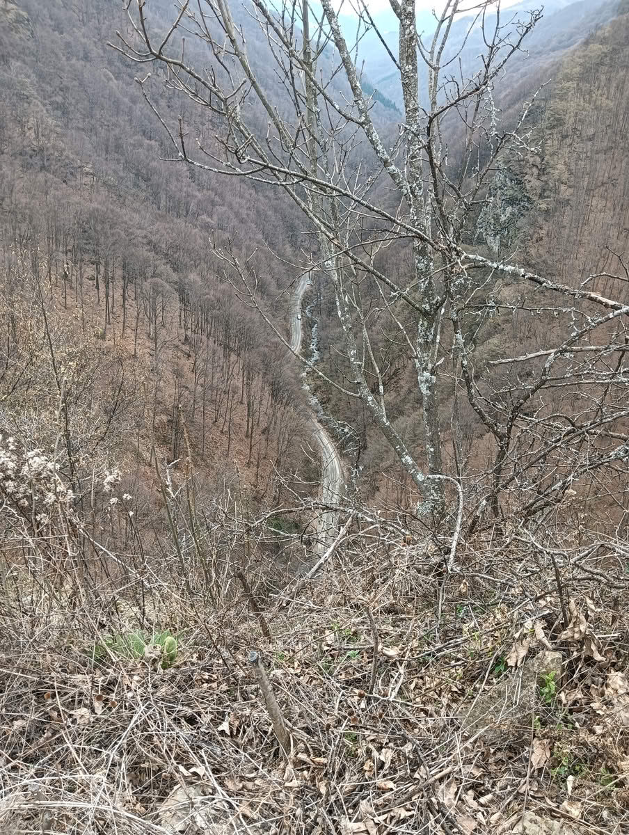 IMG20250323133404 Cetatea Colț