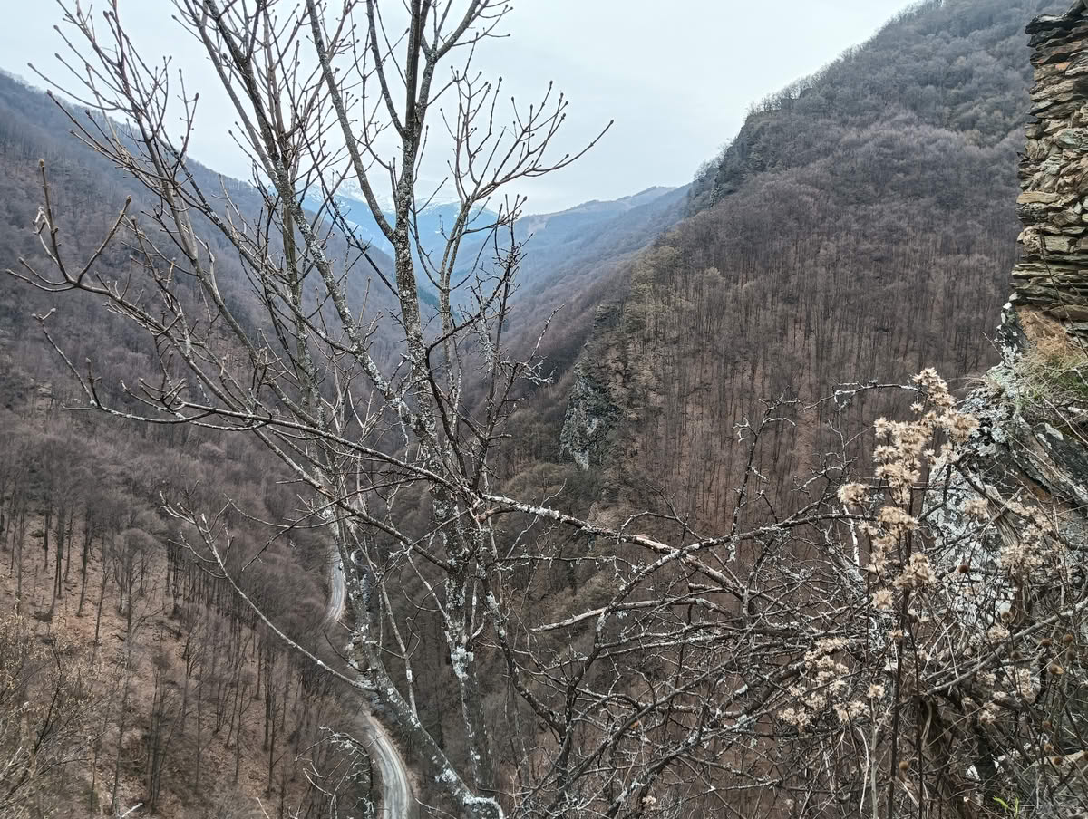 IMG20250323133409 Cetatea Colț