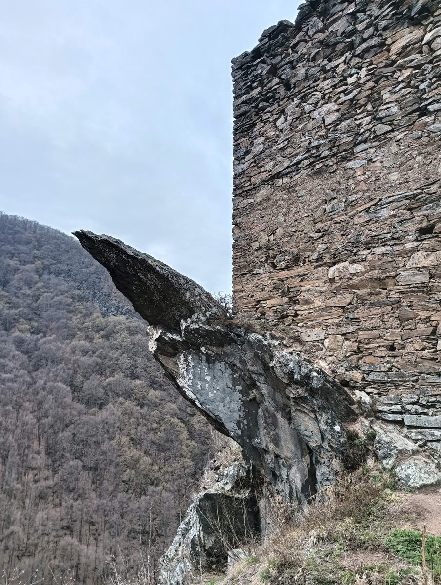 IMG20250323133506 Cetatea Colț